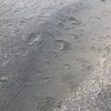 なんだかんだで、ぼちぼちと