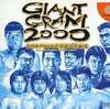 今ドリームキャストのGIANTGRAM2000 全日本プロレス3栄光の勇者達にいい感じでとんでもないことが起こっている？