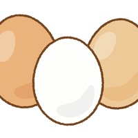 初めての卵の進め方