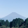今朝の景色