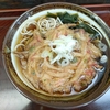 そば処はるな（文京区本郷）のかき揚げ天そば