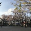 かもめ公園