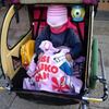 梅開花も薄氷張る春！