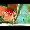 今日の動画。 - Shugo Tokumaru(トクマルシューゴ) - Frogs & Toads