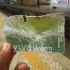 不死身のviva viagem