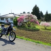 新たな林道を探しに