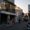 土曜日の表参道と日曜日の無と月曜日の酷い鼻水とくしゃみ