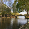 村山由佳著『風よ　あらしよ』〜上尾丸山公園の散歩（4月11日）