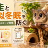 脱走と擬似冬眠を防ぐ｜アフリカヤマネのケージ環境チェックリスト付き