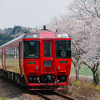 2025/03/30 緒方の桜並木と九州横断特急