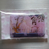 角館 桜並木のマグネット 【秋田県仙北市】