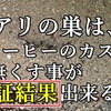 アリの巣はコーヒーかすで無くす事が出来る？検証結果