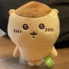 腰椎椎間板ヘルニアと先天性臼蓋形成不全と変形性股関節症、そして前十字靭帯を損傷した左足との共存