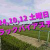 2024,10,12 土曜日 トラックバイアス予想 (京都競馬場、新潟競馬場)