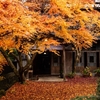 秋の邸宅の奥庭には見事な紅葉が・・・