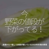 1131食目「今、野菜の値段が下がってる！」高値から一転して安値が続いている2020年冬場の野菜