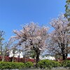 きなこ、飼い主に振り回される