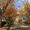 晩秋の公園で／笑顔こそ若見えの秘訣？