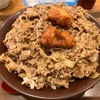 【番外編】すき家 相模大野駅南口店〜牛丼キング／からあげ2個／黒烏龍茶／からあげ牛丼／総重量1.2キロ／店舗限定／デカ盛り〜