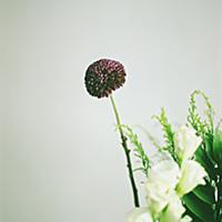 透明な女の子とは 音楽の人気 最新記事を集めました はてな 透明な女の子とは 音楽の人気 最新記事を集めました はてな
