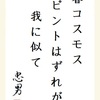 春コスモス ピントはずれが 我に似て