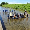 川づくり・清瀬の会 8〜9月の活動予定