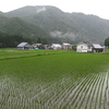 梅雨入り