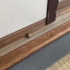 ぽてこの置き土産