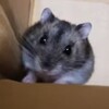 YouTubeで「ショート動画」以外のアップロードには問題が・・・
