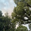 「虹蔵不見」、隠れて見えないものに想いを寄せること。