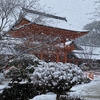 上賀茂神社❄️雪景色　-幸在祭（さんやれ祭）-