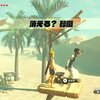 （ブレワイ）ダコ・タワの祠（エレキの通り道、消える？砂嵐）