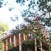 急傾斜地に建てた小さなログハウス整地から完成までの記録！   