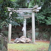 20250623京都市右京区太秦 木嶋坐天照御魂神社