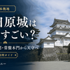 【日本100名城 No.23】小田原城は何がすごい？現地で感じた魅力・歴史・見どころを紹介