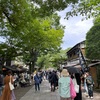 【東京観光】家族で深大寺観光へ行きました