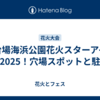 お台場海浜公園花火スターアイランド2025！穴場スポットと駐車場