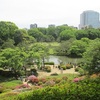 初夏に出会った六義園