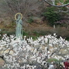 中山観音公園