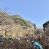 カヤネズミの生息調査