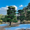 桂離宮〜松に関わる沢山のこと