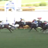 ６月２８日（日）　勝負・注目レース結果　ー注目馬８番人気２着も・・・