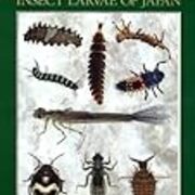 おすすめ幼虫図鑑 イモムシ図鑑 クモ図鑑など マニアック図鑑を紹介 ネイチャーエンジニア いきものブログ