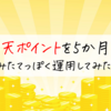 楽天ポイント運用 5か月間つみたてっぽく運用してみた話