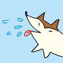 kuragedog’s  diary