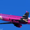 Aerosoft A320/321 Professional　Peach Aviation JA805Pリペイント（P3DV4.3対応）