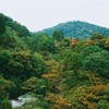 【142日目】「気圧のせい」でやってける