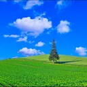 北海道移住 in 東川町