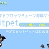 Bitpet(ビットペット)【購入・合成・売却】やってみた。