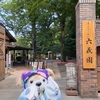 #六義園#変化朝顔